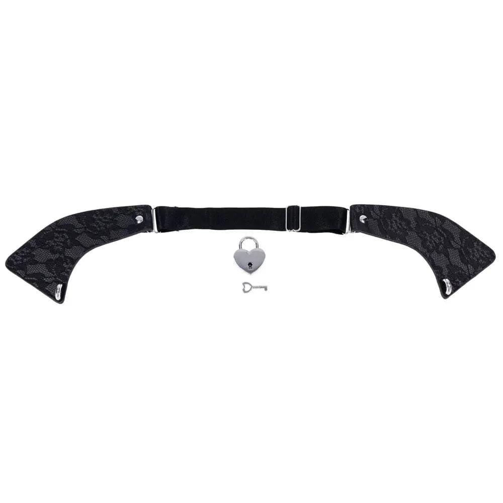 Sex & Mischief Heartbound Lace Day Collar -  Submission Collar Sportsheets Discreet Intimate Essentials.