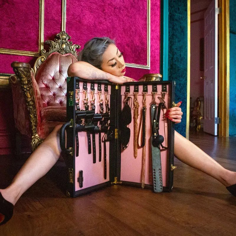 Shop affordable quality Temptasia Safe Word Bondage Kit with Suitcase - 9 Piece Bondage Set - Discreet Intimate Essentials - BONDAGE-TOYS - Blush Novelties